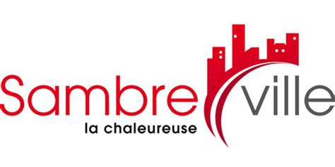 Conseil communal de Sambreville du 25 janvier 2021